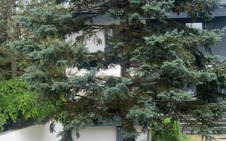 Vila deosebita pe malul lacului Snagov - Poză 6