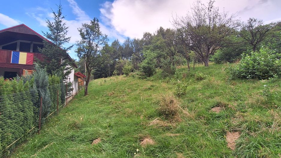 Bran-Predelut doua parcele de 2000+3000mp pret 25 euro/mp - Poză 19