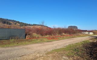 Teren intravilan Sanpetru livada PUZ 2564mp - Poză 3