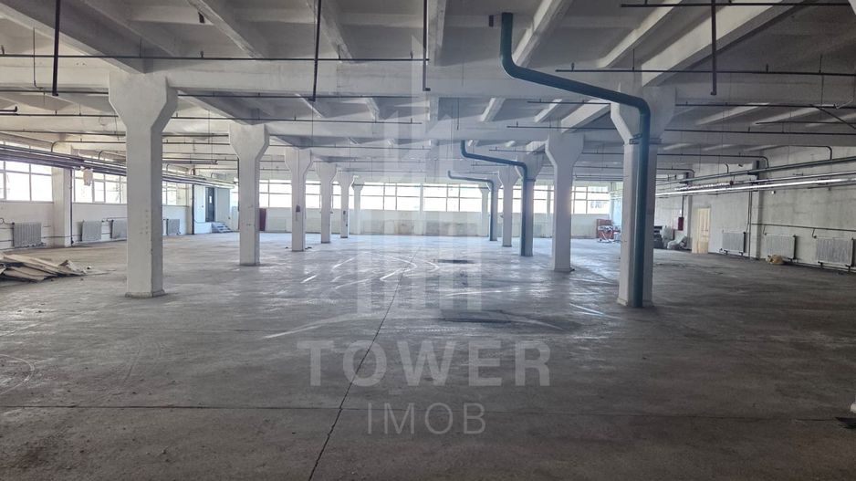 Hala generosa de închiriat . - Poză 4