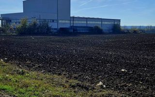 Teren intravilan 15.000 mp – DN2 Afumați - Poză 8