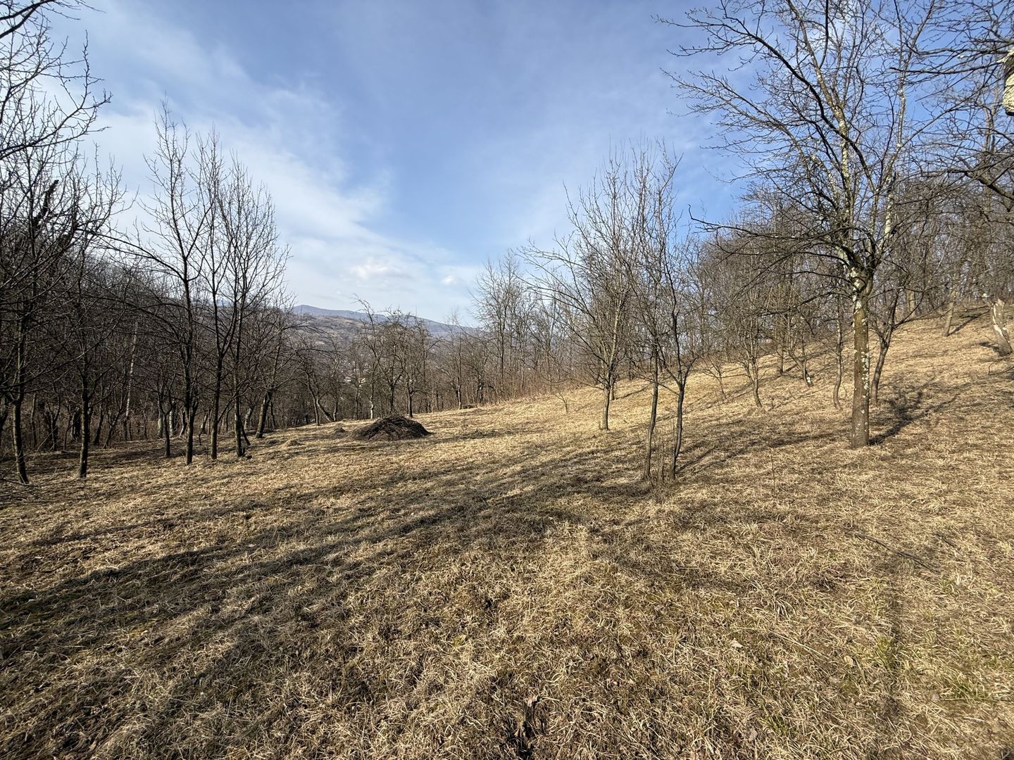 Teren intravilan 2788 mp deschidere 55 ml cu vedere panoramica ! - Poză 7