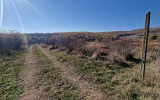 Teren intravilan de vanzare, Cetate - Poză 4