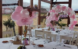 Închiriere Spațiu Comercial – Restaurant - Valea Avrigului - Poză 4