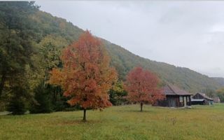 Teren de vis de vanzare in Remeti-Bihor-27p0 mp - Poză 4
