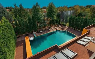 Vila grandioasa, Gradina Japoneza, SPA, Crama, Teren Tenis, Foisor, Iaz Pesti - Poză 3