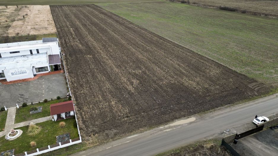 Teren 20.000 mp Vladimirescu - Poză 4