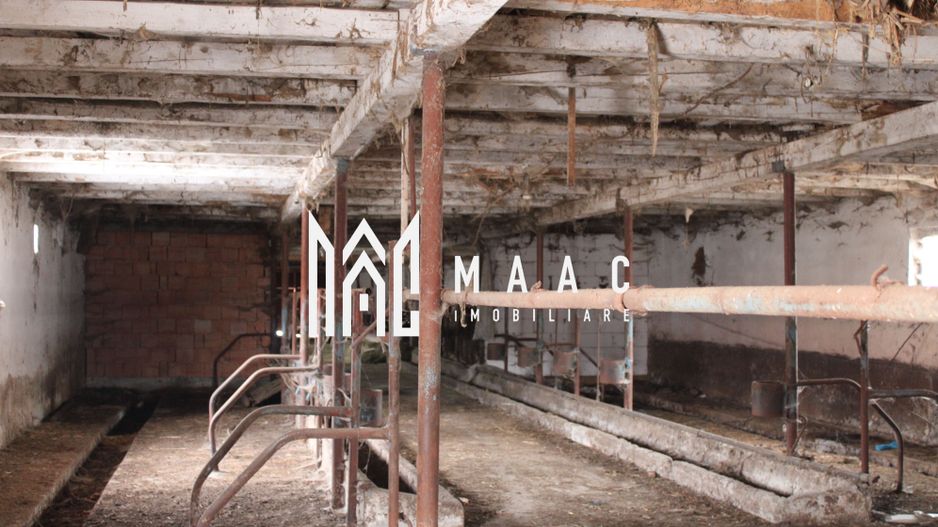 Ferma de Vânzare – Oportunitate Unică! - Poză 22