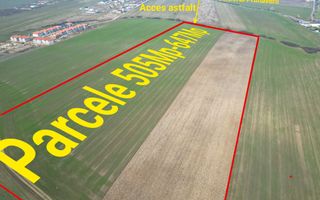 Teren la super pret-Sacalaz - Poză 1