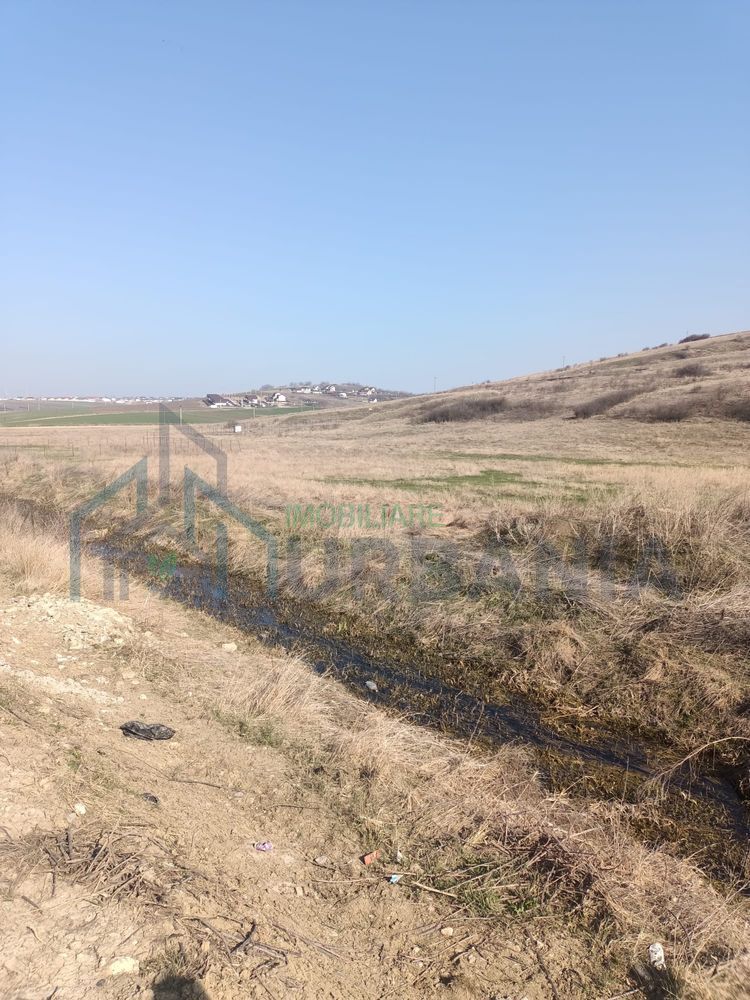 Teren extravilan de vânzare – Miroslava, str. Cornești, 4.750 mp - Poză 4