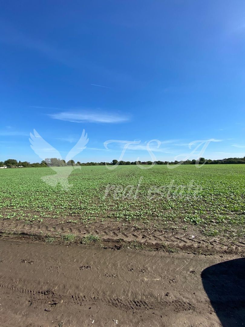 Teren Intravilan 825mp Cu dubla deschidere si Drum de servitute, Dascalu  Ilfov - Poză 5