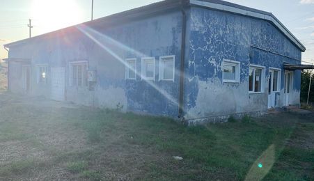 Spațiu comercial, Șăulia De Câmpie