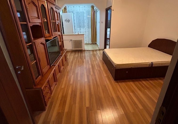 GARSONIERA IN BRAZDA LUI NOVAC - Poză 1