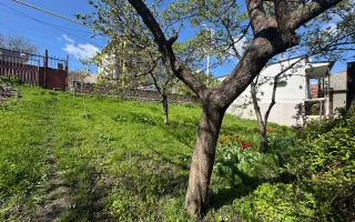 Vânzare, casă, 4 camere, str. Ashabad, Botanica - Poză 22