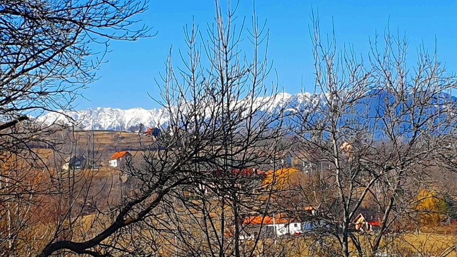 Bran-Sohodol, Teren 4039mp cu casă bătrânească, utilități, comision zero. - Poză 1