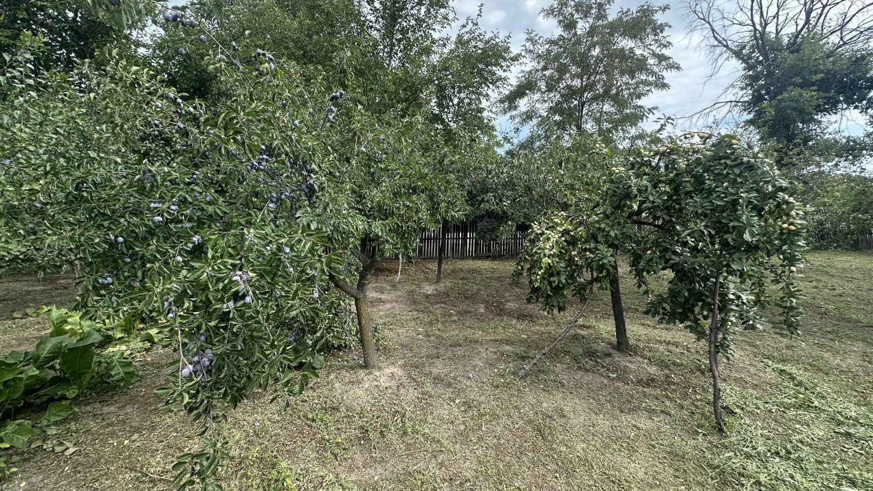 Casa traditionala+teren 1172mp intravilan in Lunca Corbului, Arges - Poză 8