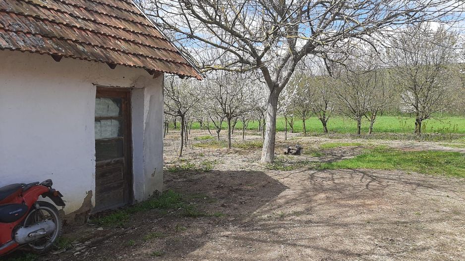 Casă cu teren generos la Bodo - Poză 7