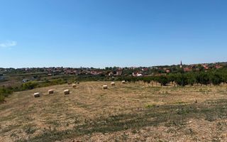 Teren intravilant | 6,355 mp | Săldăbagiu de Munte - Poză 1