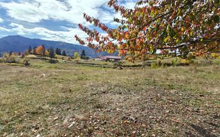 Teren extravilan 23932 mp | Tiha Bârgăului - Poză 2
