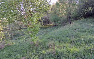 Teren extravilan de vanzare, Bistrita Bargaului- 10 minute de Colibita - Poză 17