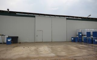 Ferma pomicola cu teren livada 270 ha - Timis - Poză 9