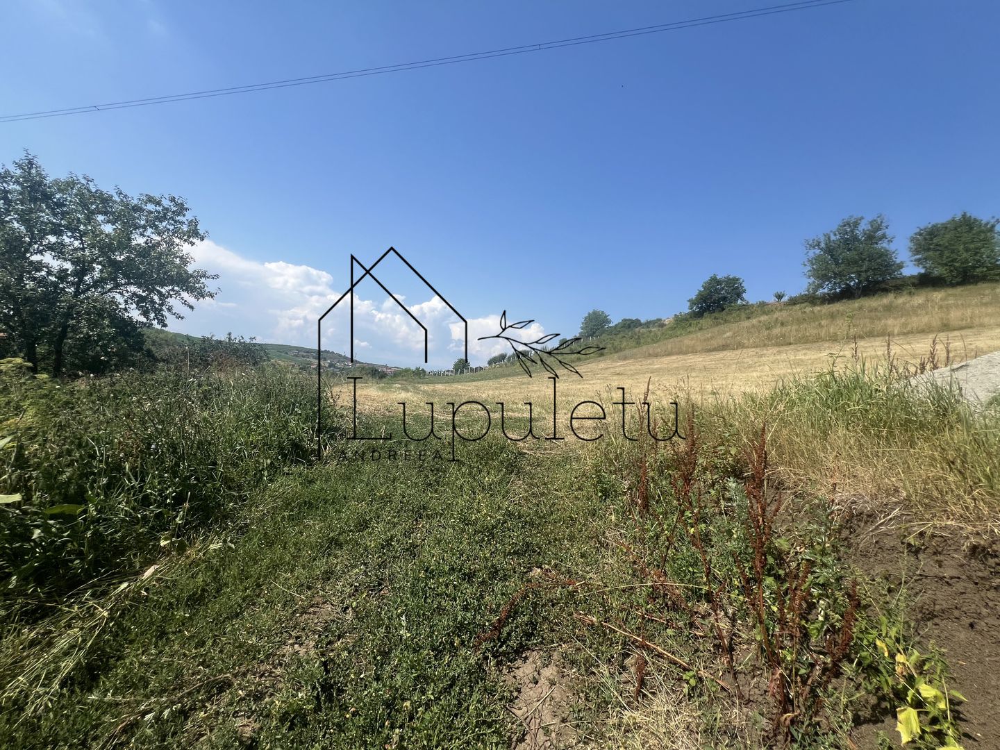 Teren Intravilan |5.000 MPU | Șura-Mare | - Poză 7