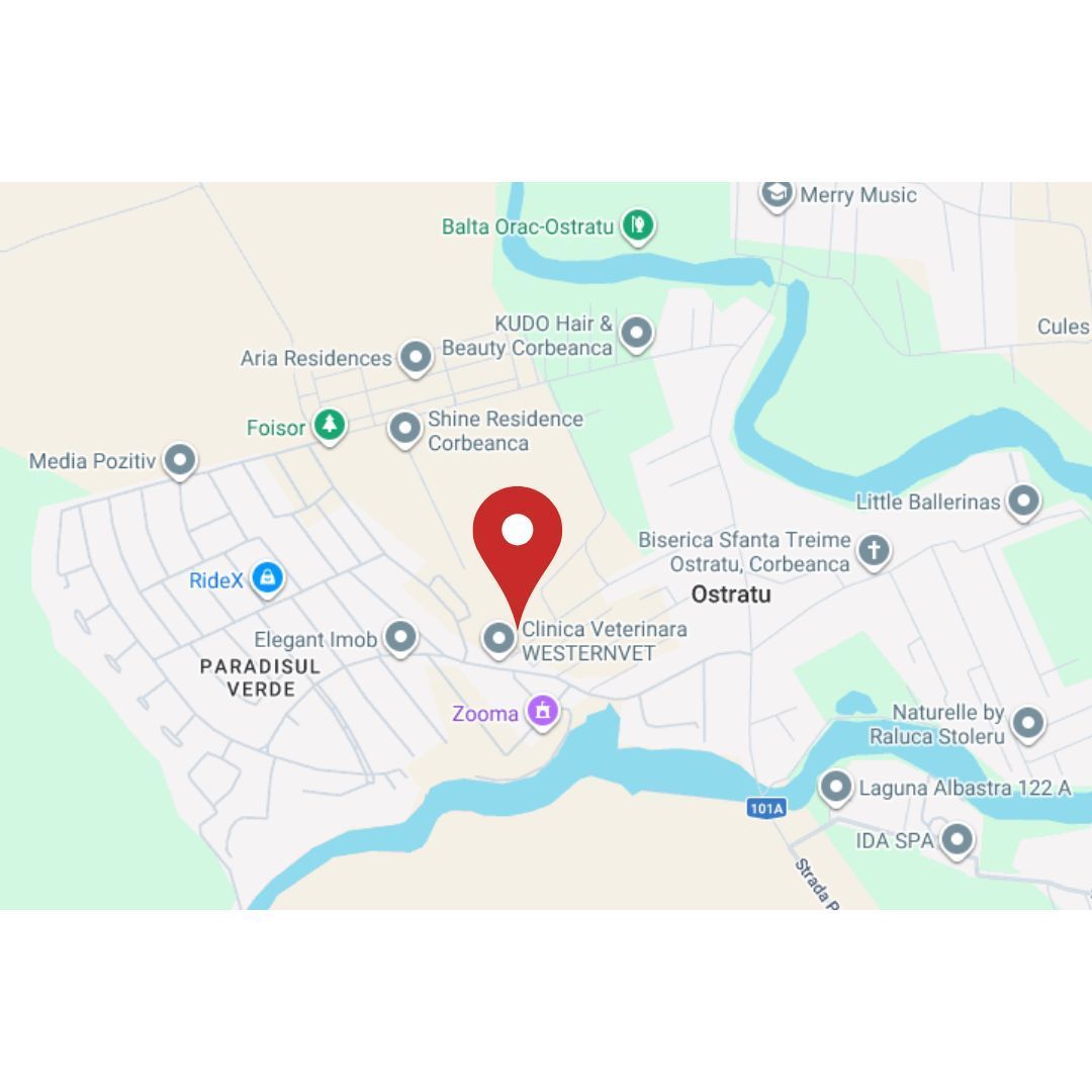 Corbeanca Ostratu Intr. Gagului teren pretabil investitie, comision 0% - Poză 3