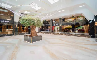 SPRE CHIRIE SPAȚIU COMERCIAL PENTRU BIROU | OFICIU 170 m2 - Poză 13