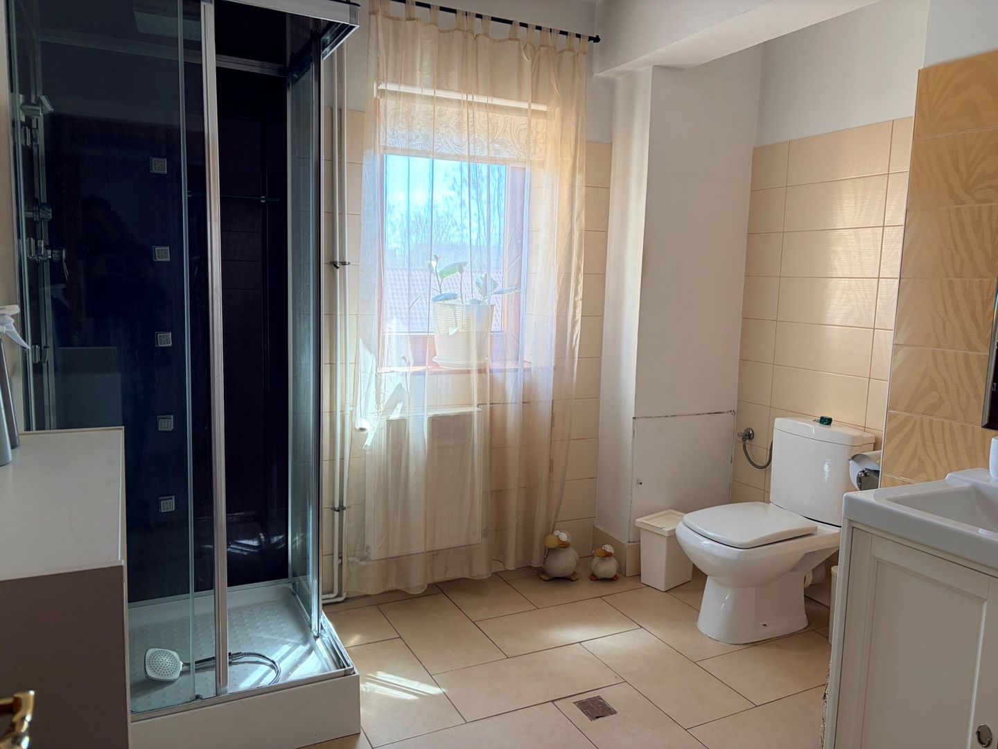 Apartament 3 Camere Vila Baneasa - Poză 5
