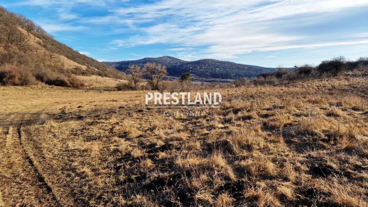Teren 46.300 mp-zona Gușterița!! - Poză 1