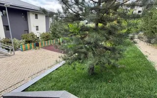 🏠Apartament 3 camere, 66mp // Păcurari - Colina Însorită - Poză 15