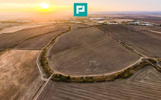 Teren arabil 68,800mp Zimandu Nou - Poză 2