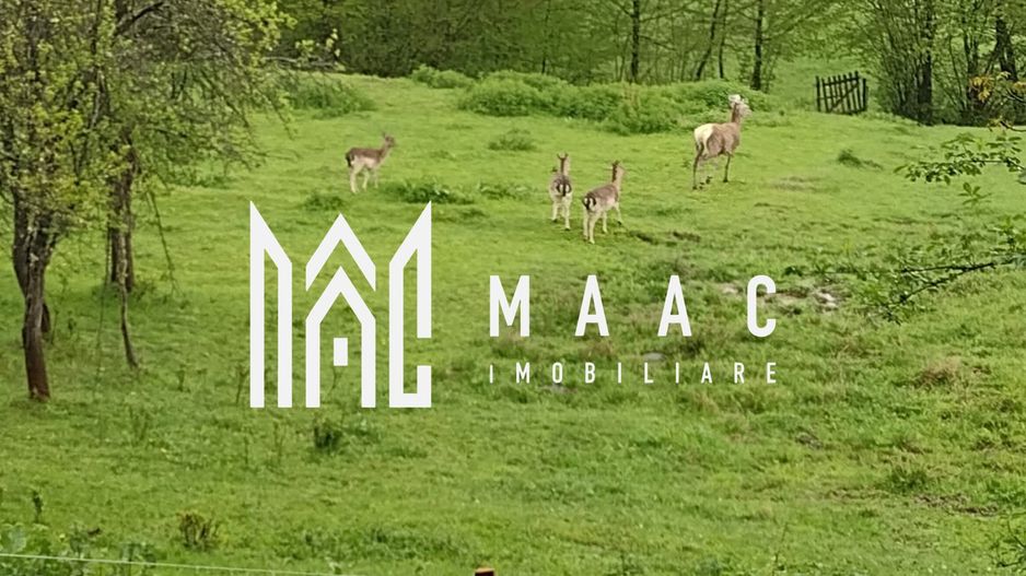 Casa Vantului si 8000 metri patrati in Abrud - Poză 11