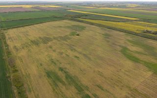 Teren investițional strategic 44.700 mp Arad Vest - Poză 18