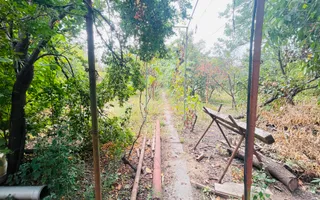 Casa spatioasa cu teren 739 mp in zona Mehala - Poză 11