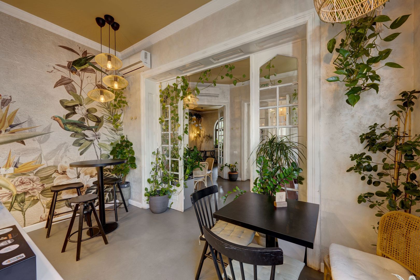 Vindem Afacerea ! Mini Hotel + Cafenea/ Restaurant ! Parcul Carol ! - Poză 20