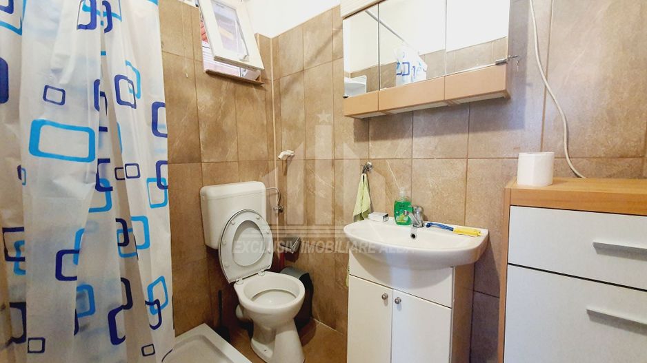 Casa individuala de inchiriat, Cetate - Poză 8