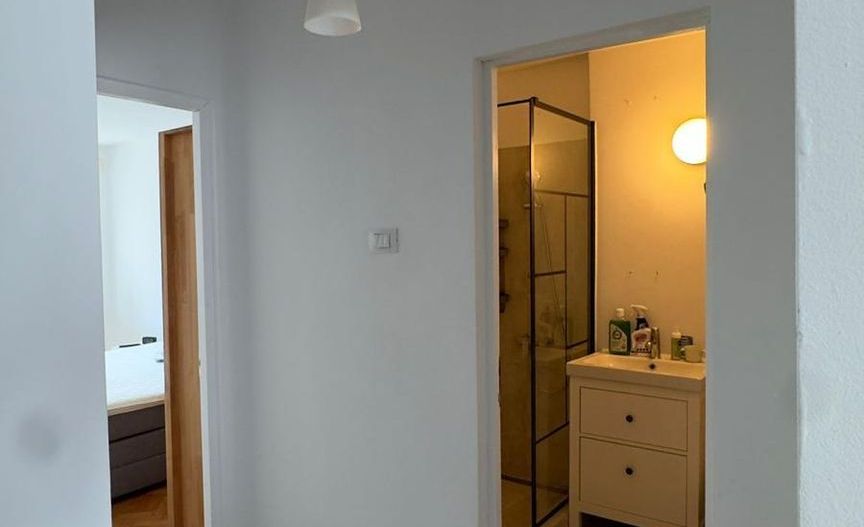 Apartament Iancu de Hunedoara // Dorobantilor - Poză 20
