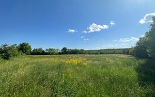 Teren Vanzare 11.000 MP Ghirdoveni | COMISION 0% - Poză 10