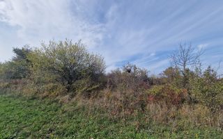 Teren de vanzare - 1500 mp - Daia Noua - Poză 3