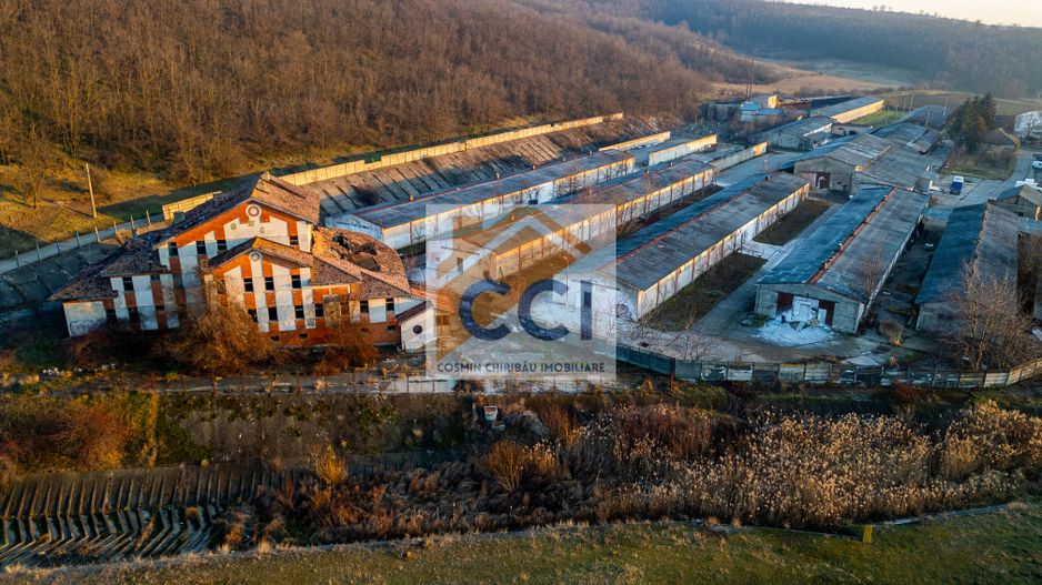 Fosta Ferma a Partidului de la Horgesti - de vanzare - Poză 15