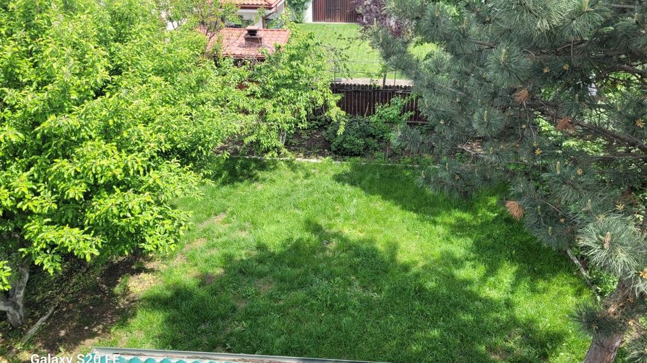 Vilă spațioasă S+P+1E+M | Chitila | Str. 8 Martie - Poză 3