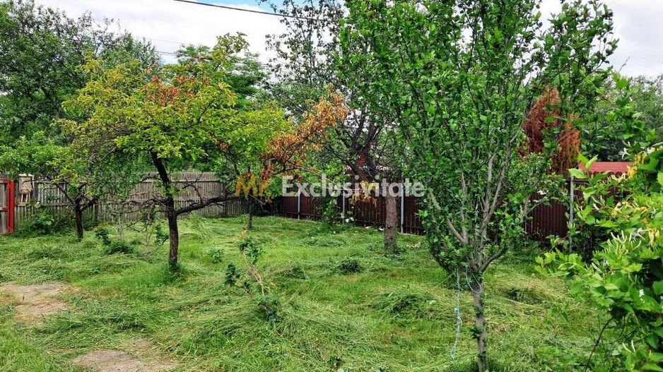 Casa cu teren la Polovragi - Poză 14