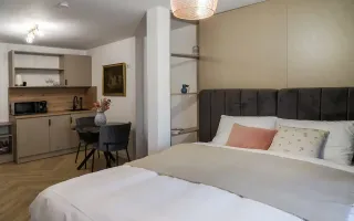 Proprietate ideala pentru investitie *354mp* inchiriata pe 6 ani // Cismigiu - Poză 71