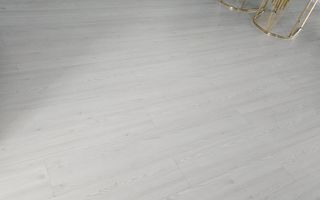 OBOR  FERDINAND - Poză 12