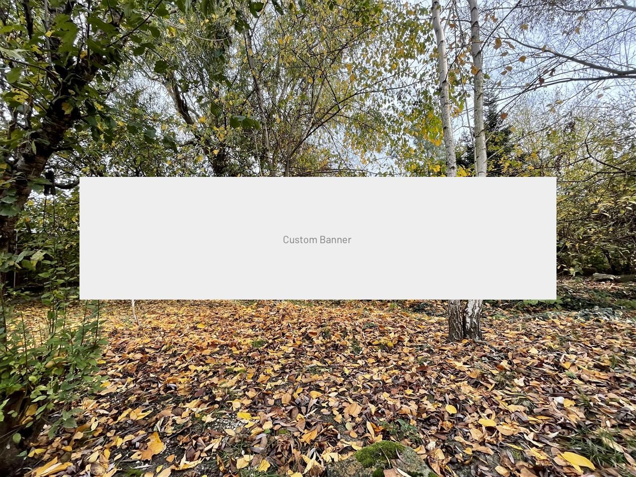 Casa individuala deosebita cu 4 camere P+M zona Ciarda Rosie Timisoara - Poză 15