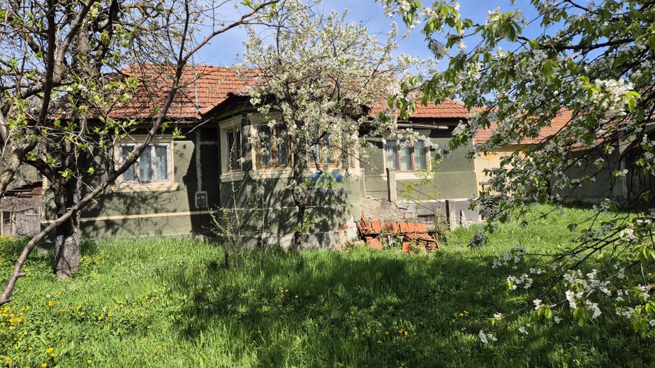 Vand casa 2 camere, 90mp, Silvasul de Jos, teren 1295, deschidere 62m - Poză 1