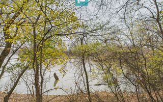 Teren spectaculos la  Periam Port - Poză 19