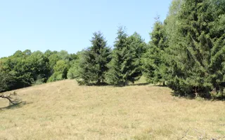 Poiana Sohodol I 5600 MP I Trei corpuri cladiri I Utilitati - Poză 62