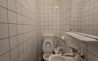 Apartament 4 camere+anexa 2 camere pe Malul Muresului/Str. Praporgescu - Poză 21